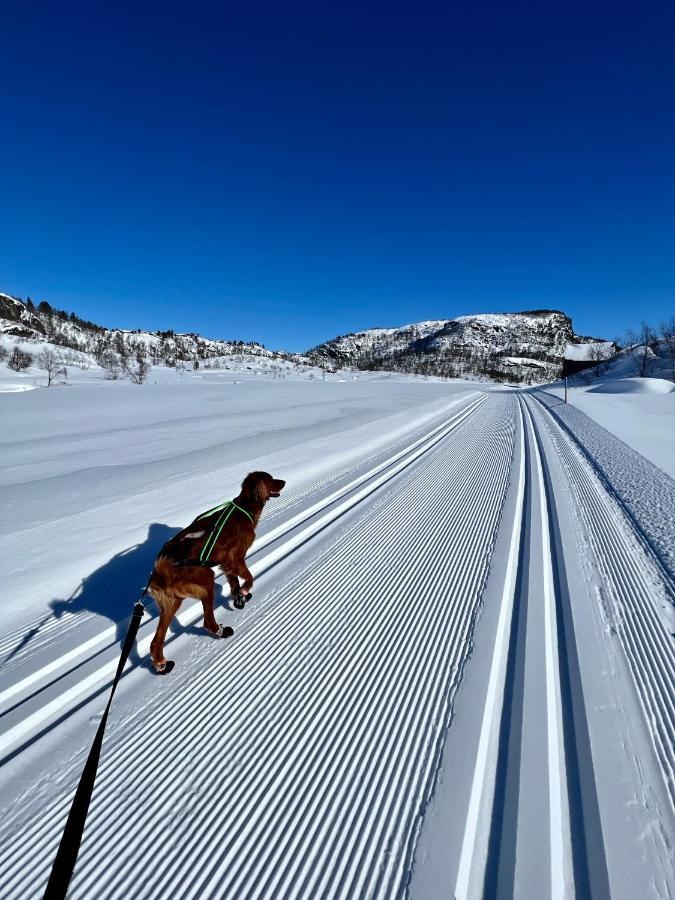 Flott Leilighet Pa Haugen I Sirdal Tjorhom Esterno foto