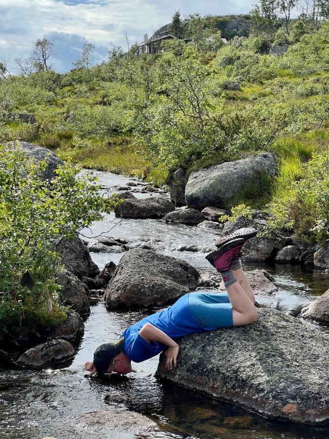 Flott Leilighet Pa Haugen I Sirdal Tjorhom Esterno foto