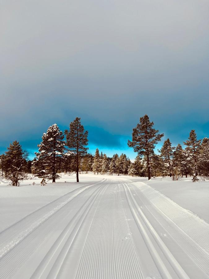 Flott Leilighet Pa Haugen I Sirdal Tjorhom Esterno foto